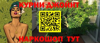 гашик Бийск