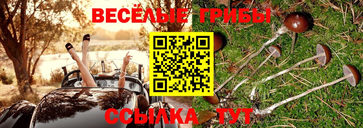 Псилоцибиновые грибы MAGIC MUSHROOMS  Галлюциногенные грибы мухоморы  Вход с VPN  Киселёвск 